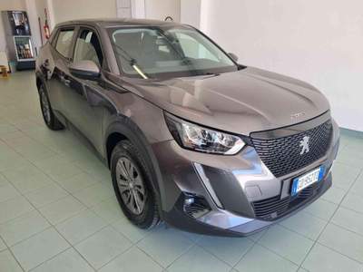 Peugeot 2008 BlueHDi 100 S&S Active Grigio usata Vasto
