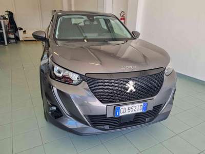 Peugeot 2008 BlueHDi 100 S&S Active Grigio usata Vasto