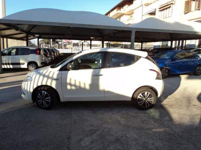 Lancia Ypsilon 1.2 69 CV 5 porte Gold Bianco usata Giugliano in Campania