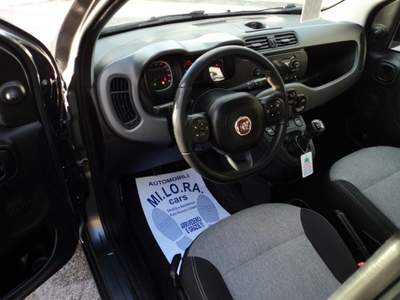 Fiat Panda 1.2 EasyPower Lounge Grigio usata Giugliano in Campania