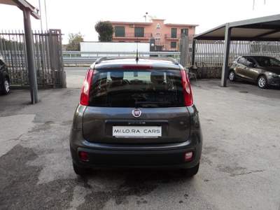 Fiat Panda 1.2 EasyPower Lounge Grigio usata Giugliano in Campania