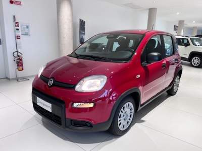 Fiat Panda 1.0 FireFly S&S Hybrid Pack City+Kit 5p Km.0 Rosso usata Massanzago