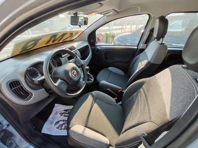 Fiat Panda 1.0 FireFly S&S Hybrid Grigio usata Poirino