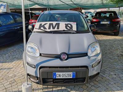Fiat Panda 1.0 FireFly S&S Hybrid Grigio usata Poirino