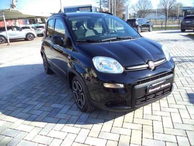 Fiat Panda 1.0 FireFly S&S Hybrid Nero usata Preganziol