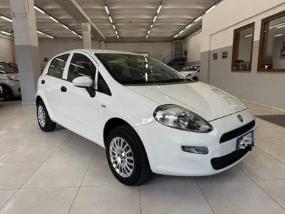 Fiat Punto 1.4 8V Natural Power Lounge METANO 01-2028 Bianco usata Rovetta