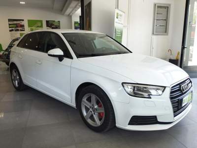 Audi A3 SPB 1.6 TDI 116 CV NEOPATENTATI Bianco usata Amantea CS