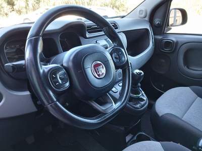 Fiat Panda 1.3 MJT 95 CV S&S Easy NEOPATENTATI Rosso usata Amantea CS