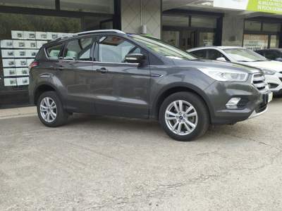 Ford Kuga 2.0 TDCI 150 CV S&S 4WD Powershift Business Grigio usata Amantea CS