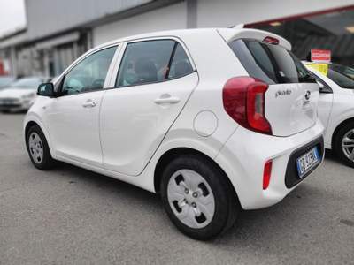 Kia Picanto 1.0 12V 5 porte Urban Bianco usata Magenta