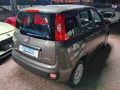 Fiat Panda 1.0 HYBRID 5 PORTE OK NEOPATENTATO Grigio usata Barzanò