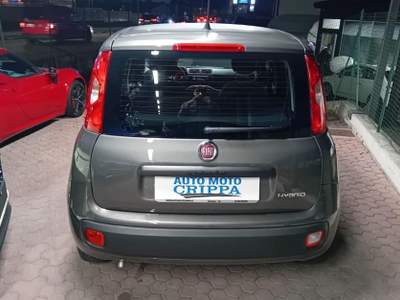 Fiat Panda 1.0 HYBRID 5 PORTE OK NEOPATENTATO Grigio usata Barzanò