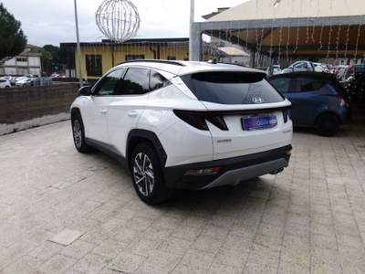 Hyundai Tucson 1.6 CRDi 136CV 48V DCT XLine Bianco usata Giarre