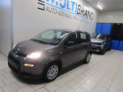 Fiat Panda 1.0 FireFly S&S Hybrid City Life PROMO Grigio usata Piacenza