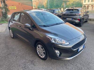 Ford Fiesta 1.1 75 CV GPL 5 porte Business Grigio usata CONCESIO