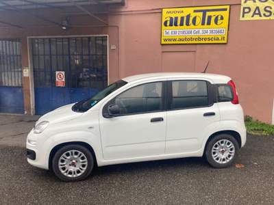 Fiat Panda 1.0 FireFly S&S Hybrid Bianco usata CONCESIO