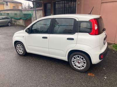Fiat Panda 1.0 FireFly S&S Hybrid Bianco usata CONCESIO