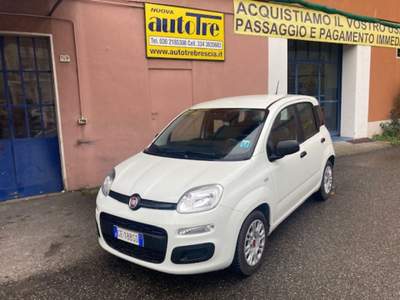 Fiat Panda 1.0 FireFly S&S Hybrid Bianco usata CONCESIO