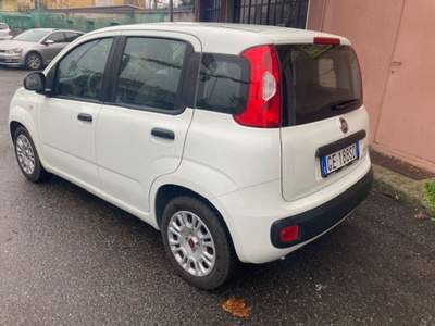 Fiat Panda 1.0 FireFly S&S Hybrid Bianco usata CONCESIO