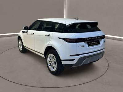Land Rover Range Rover Evoque RR Evoque 2ª serie -  2.0D I4-L.Flw 150 CV Bianco usata Caltanissetta