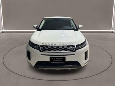 Land Rover Range Rover Evoque RR Evoque 2ª serie -  2.0D I4-L.Flw 150 CV Bianco usata Caltanissetta