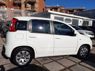 Fiat Panda 1.2 Lounge Bianco usata Pompei
