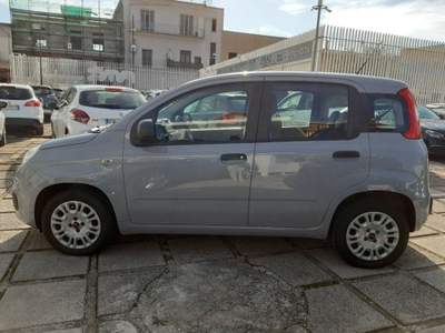 Fiat Panda 1.2 Pop Grigio usata Pompei