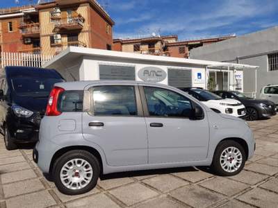 Fiat Panda 1.2 Pop Grigio usata Pompei