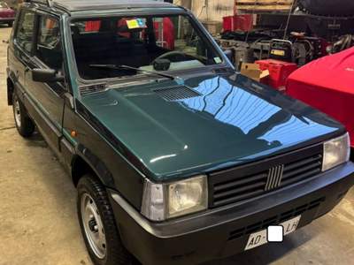 Fiat Panda 1ª serie 1100 i.e. 4x4 Country Club DOPPIO TETTO Verde usata Gaglianico