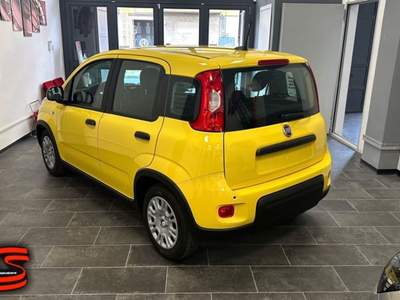 Fiat Panda 1.0 FireFly S&S Hybrid Pandina Adatta Neopatentati Giallo usata Militello in Val di Catania