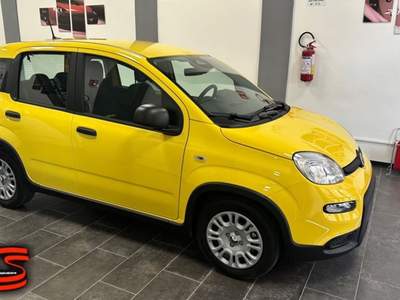 Fiat Panda 1.0 FireFly S&S Hybrid Pandina Adatta Neopatentati Giallo usata Militello in Val di Catania