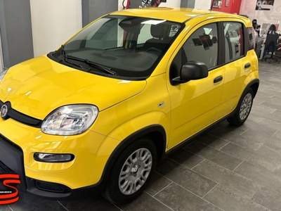 Fiat Panda 1.0 FireFly S&S Hybrid Pandina Adatta Neopatentati Giallo usata Militello in Val di Catania