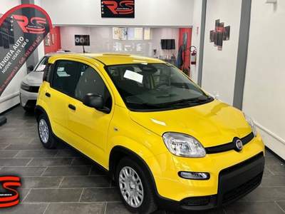 Fiat Panda 1.0 FireFly S&S Hybrid Pandina Adatta Neopatentati Giallo usata Militello in Val di Catania