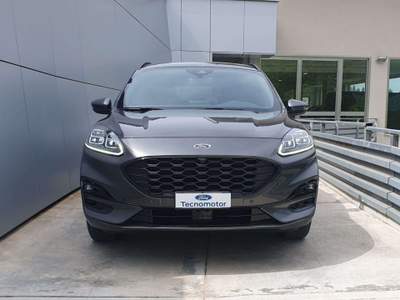 Ford Kuga ST-Line X 2.5 Plug In Hybrid 225 CV CVT Full Optio Grigio usata Mirabella Eclano