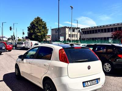 Fiat Punto Fiat Grande punto Bianco usata Cinisello Balsamo