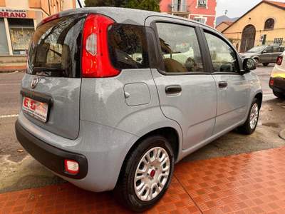 Fiat Panda 1.2 Easy 5 posti Grigio usata Albisola Superiore