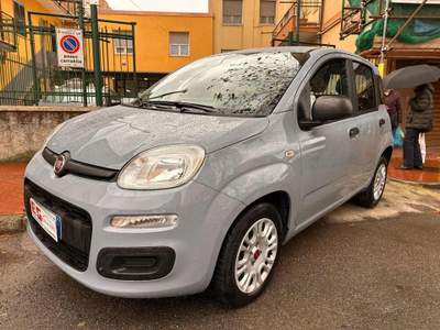 Fiat Panda 1.2 Easy 5 posti Grigio usata Albisola Superiore