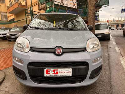 Fiat Panda 1.2 Easy 5 posti Grigio usata Albisola Superiore