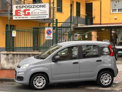 Fiat Panda 1.2 Easy 5 posti Grigio usata Albisola Superiore