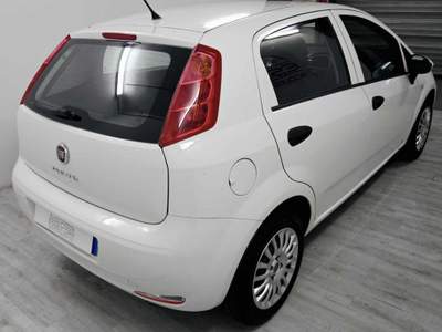 Fiat Punto 1.2 8V 5 porte Street 80.000KM Bianco usata Gerenzano
