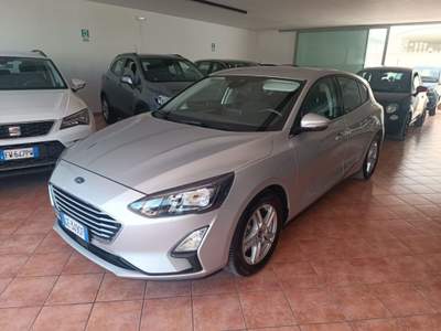 Ford Focus 1.5 EcoBlue 120 CV 5p. Business Argento usata Fragagnano