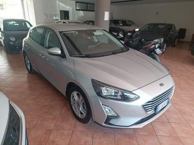 Ford Focus 1.5 EcoBlue 120 CV 5p. Business Argento usata Fragagnano