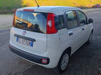 Fiat Panda 1.3 MJT 95 CV S&S Easy Grigio usata Fragagnano