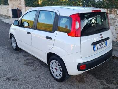 Fiat Panda 1.3 MJT 95 CV S&S Easy Grigio usata Fragagnano