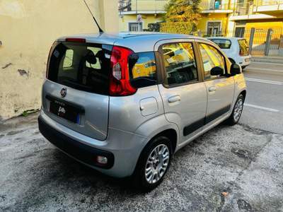 Fiat Panda 1.2 Pop Argento usata Collegno