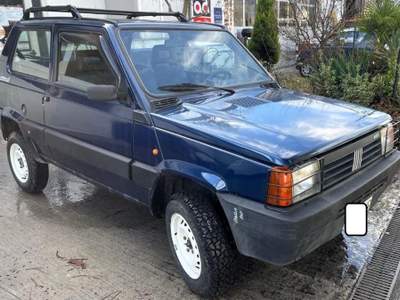 Fiat Panda 1ª serie 1100 i.e. cat 4x4 Trekking Blu/Azzurro usata Gaglianico