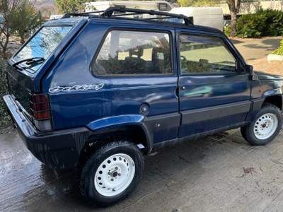 Fiat Panda 1ª serie 1100 i.e. cat 4x4 Trekking Blu/Azzurro usata Gaglianico