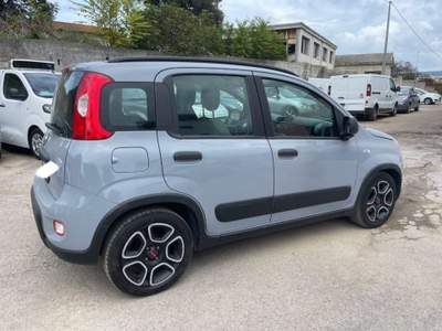 Fiat Panda 1.0 FireFly S&S Hybrid Grigio usata Sassari