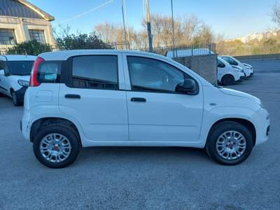 Fiat Panda 0.9 TwinAir Turbo Natural Power Lounge Bianco usata Sassari