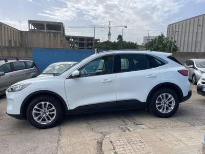 Ford Kuga 1.5 EcoBlue 120 CV aut. 2WD ST-Line Bianco usata Sassari